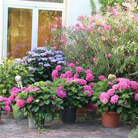 Weingut Pension Sommerhof 몰비슈암시 외부 사진
