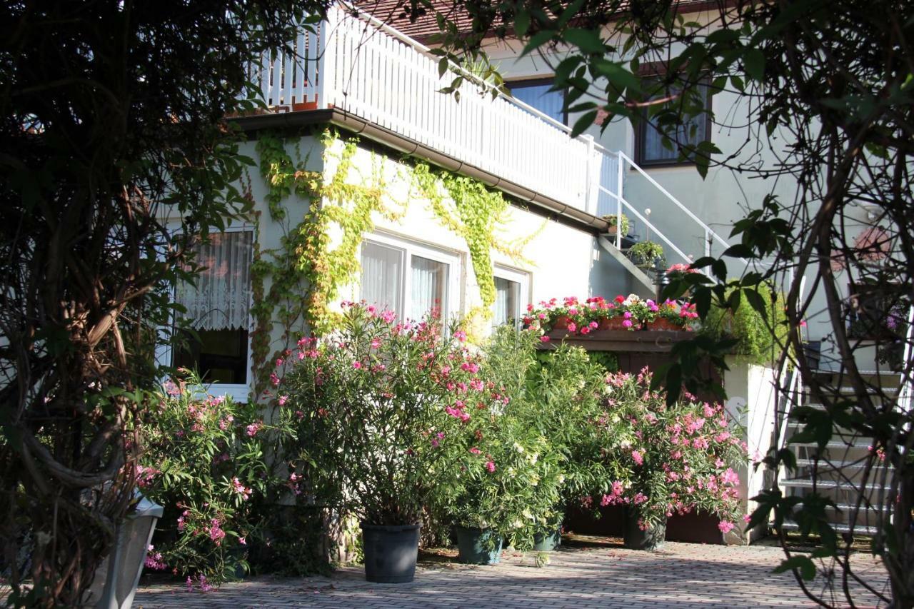 Weingut Pension Sommerhof 몰비슈암시 외부 사진