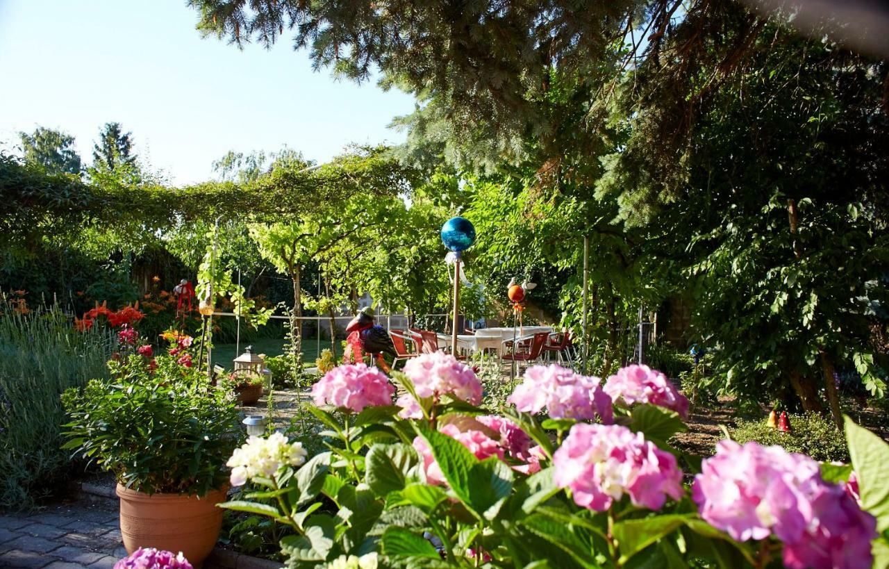 Weingut Pension Sommerhof 몰비슈암시 외부 사진